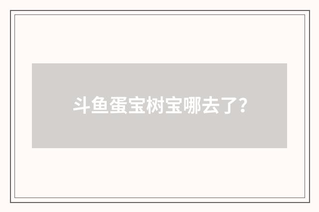 斗鱼蛋宝树宝哪去了?