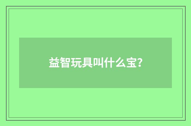 益智玩具叫什么宝？