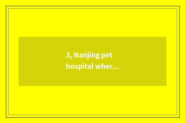 3, Nanjing pet hospital where home is best - agog, can you do over there Nanjing