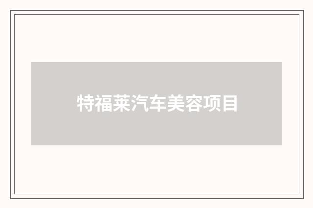 特福莱汽车美容项目