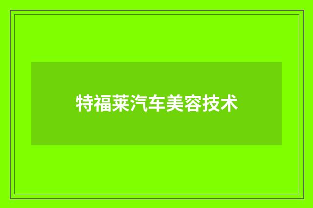 特福莱汽车美容技术