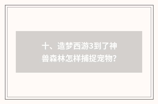 十、造梦西游3到了神兽森林怎样捕捉宠物？