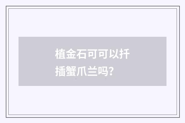 植金石可可以扦插蟹爪兰吗?