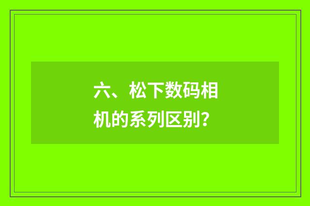六、松下数码相机的系列区别?