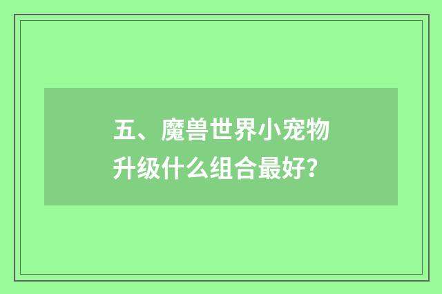 五、魔兽世界小宠物升级什么组合最好？