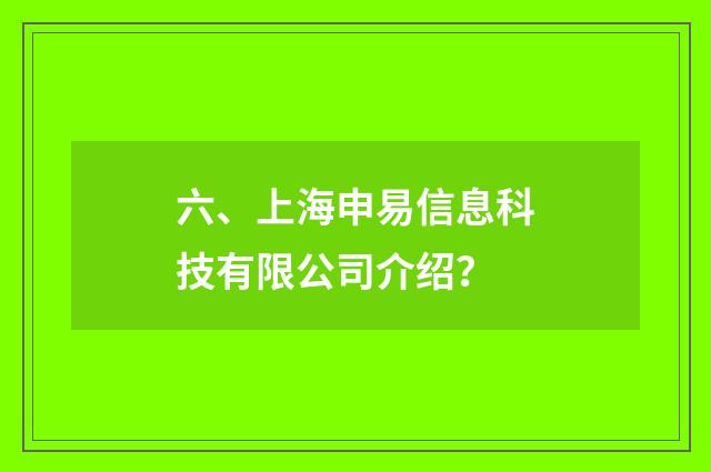 六、上海申易信息科技有限公司介绍？