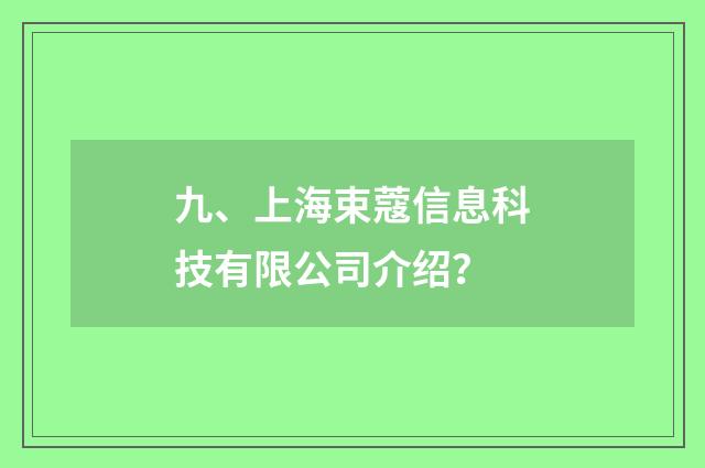 九、上海束蔻信息科技有限公司介绍？