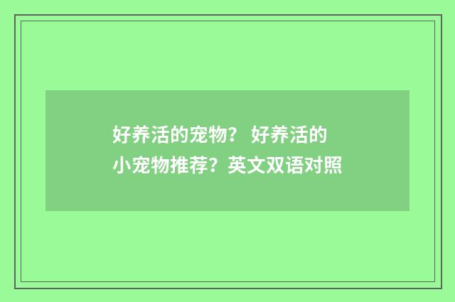 好养活的宠物？ 好养活的小宠物推荐？英文双语对照