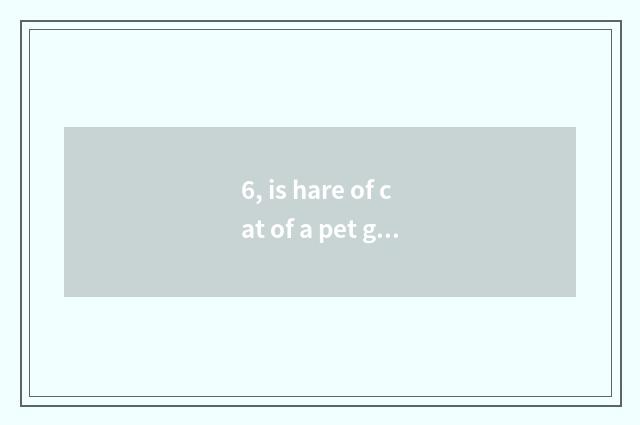 6, is hare of cat of a pet good feed?
