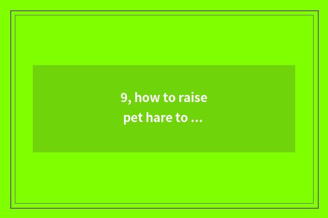 9, how to raise pet hare to be fed easily?