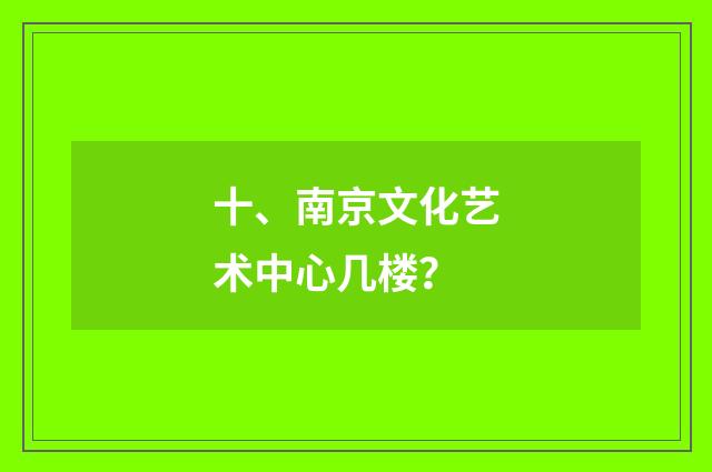 十、南京文化艺术中心几楼？