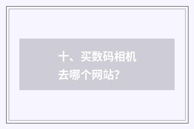 十、买数码相机去哪个网站?