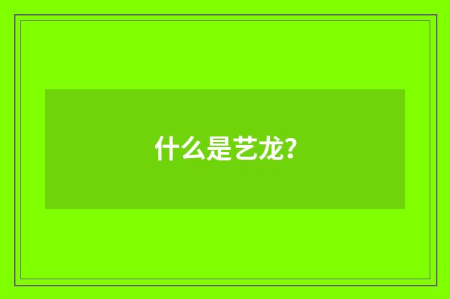 什么是艺龙?