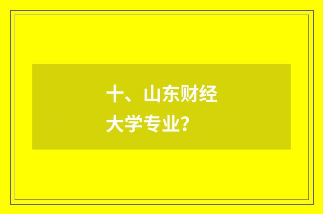 十、山东财经大学专业？