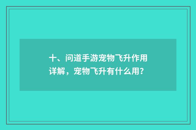 十、问道手游宠物飞升作用详解，宠物飞升有什么用？