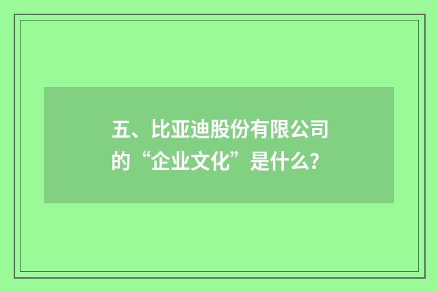 五、比亚迪股份有限公司的“企业文化”是什么?
