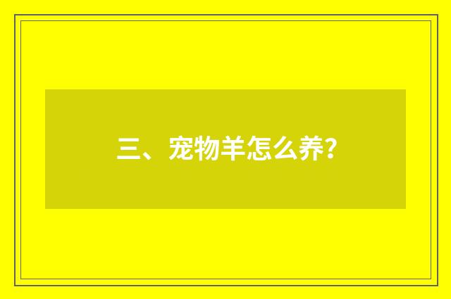 三、宠物羊怎么养?