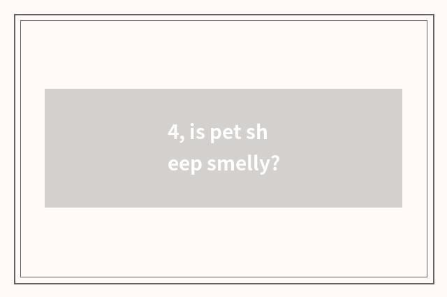 4, is pet sheep smelly?
