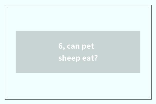 6, can pet sheep eat?