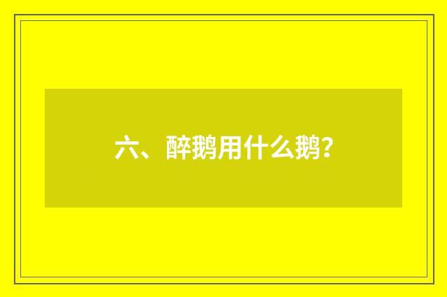 六、醉鹅用什么鹅？
