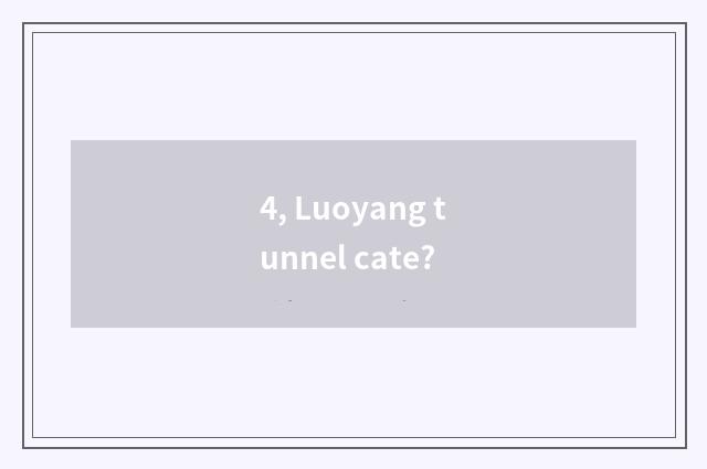 4, Luoyang tunnel cate?