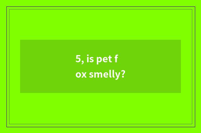 5, is pet fox smelly?
