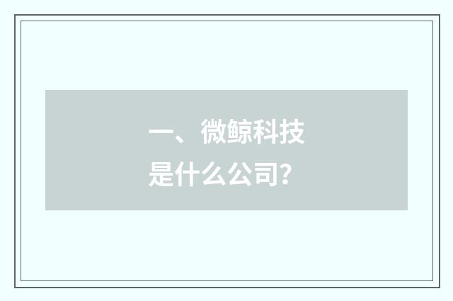 一、微鲸科技是什么公司？