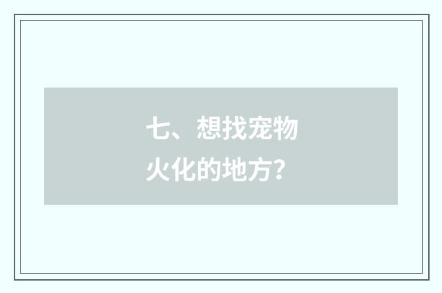 七、想找宠物火化的地方？