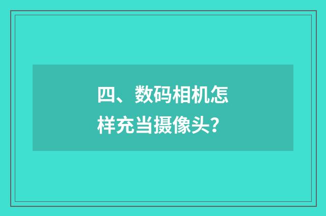 四、数码相机怎样充当摄像头?
