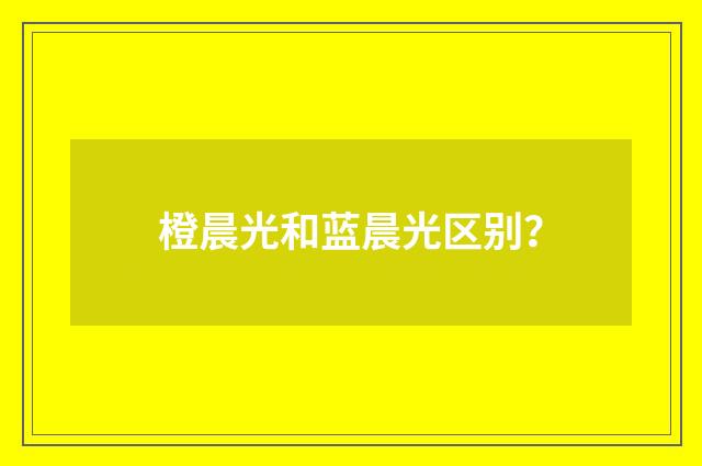 橙晨光和蓝晨光区别？