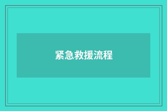 紧急救援流程