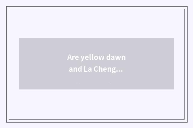Are yellow dawn and La Chenguang distinguished?