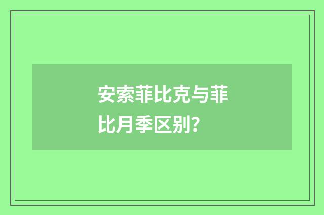 安索菲比克与菲比月季区别？