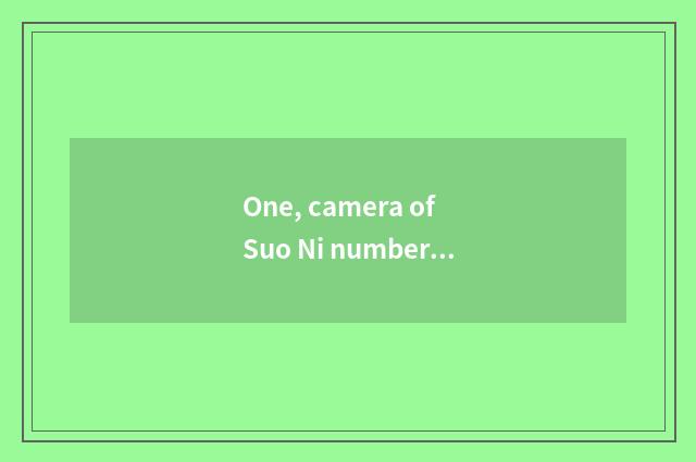 One, camera of Suo Ni number, computer connection?