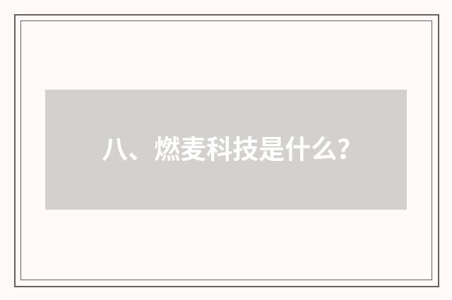 八、燃麦科技是什么？