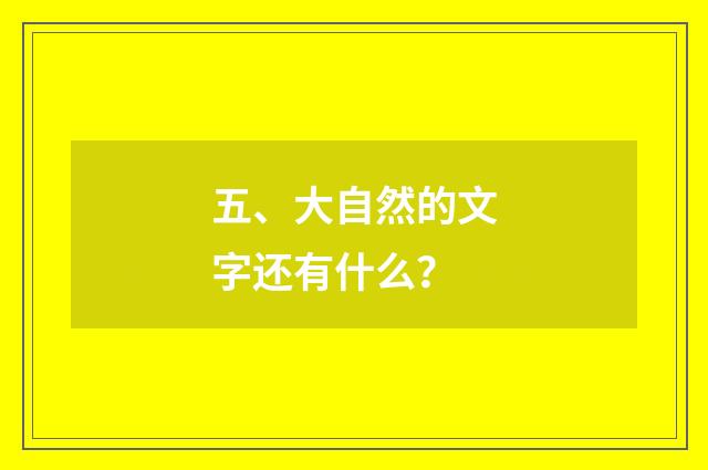 五、大自然的文字还有什么？