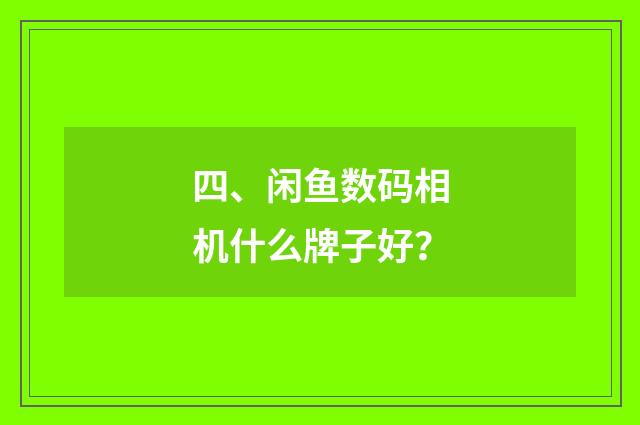 四、闲鱼数码相机什么牌子好？