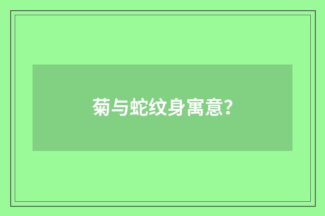 菊与蛇纹身寓意?