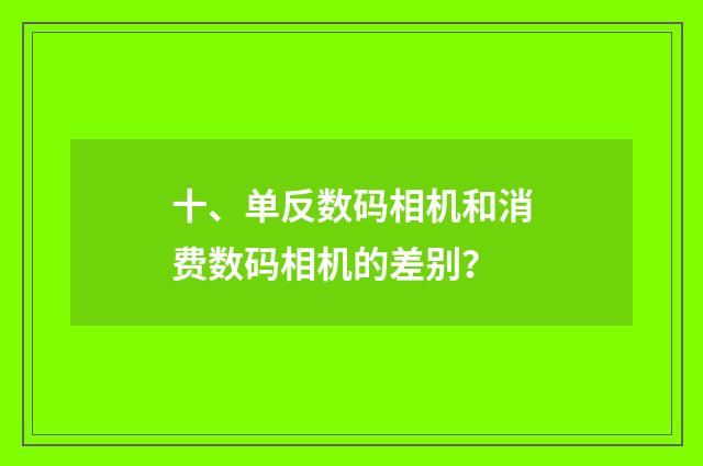 十、单反数码相机和消费数码相机的差别？