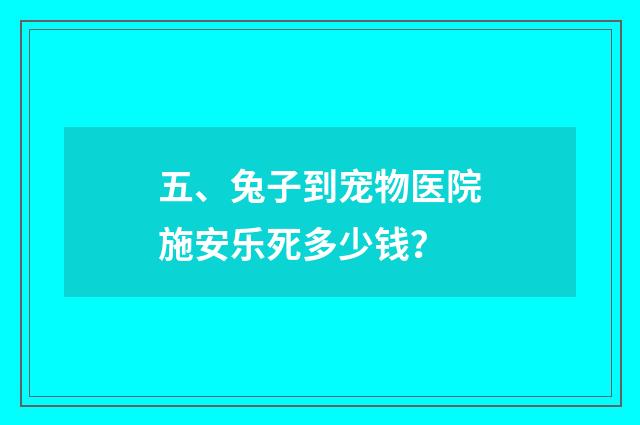 五、兔子到宠物医院施安乐死多少钱？