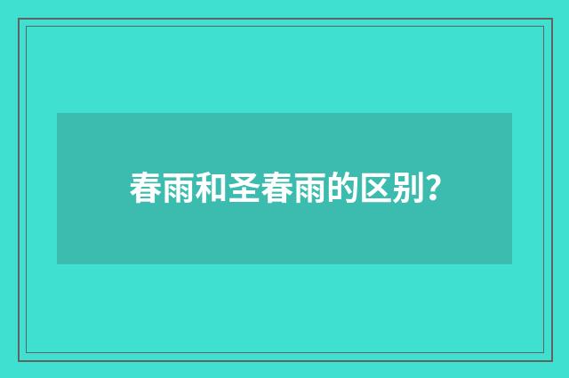 春雨和圣春雨的区别？