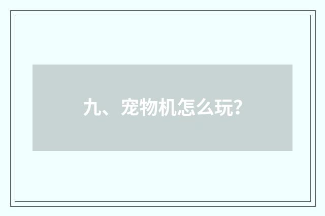 九、宠物机怎么玩?
