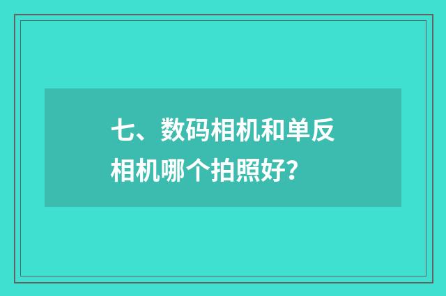七、数码相机和单反相机哪个拍照好?