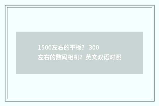 1500左右的平板? 300左右的数码相机?英文双语对照