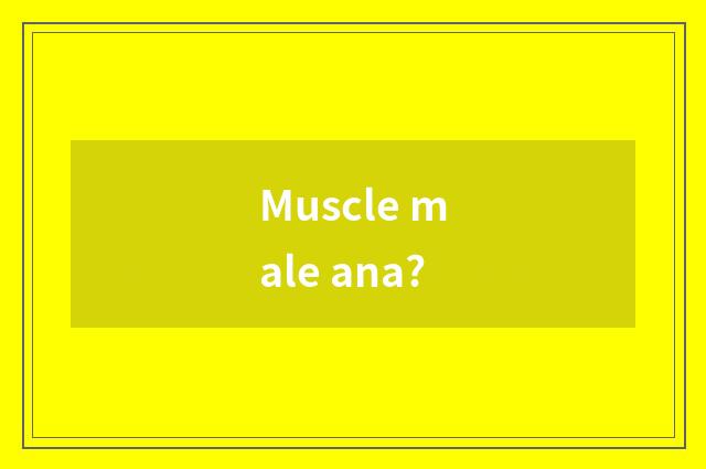 Muscle male ana?