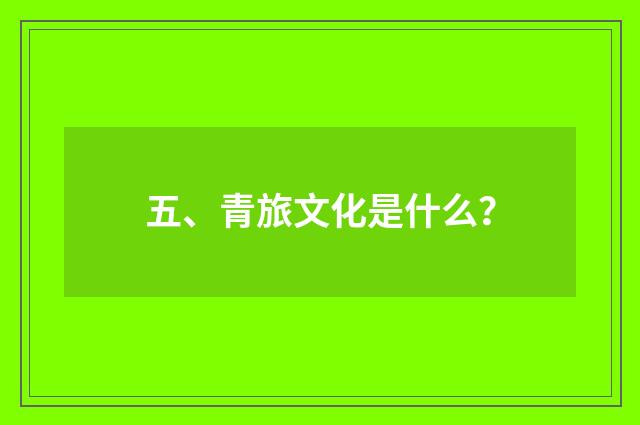 五、青旅文化是什么？