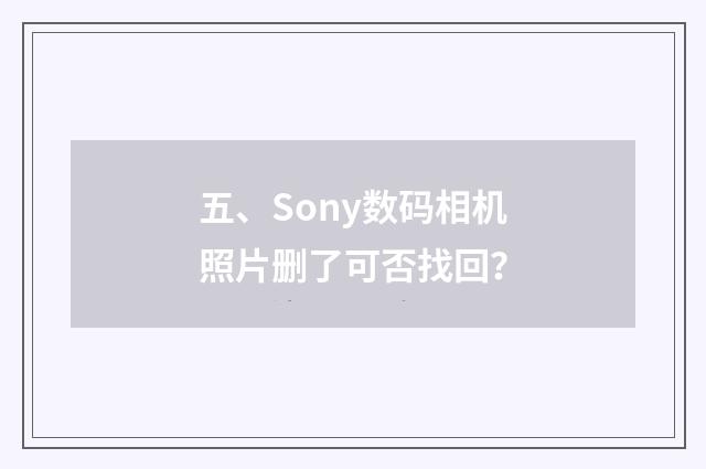 五、Sony数码相机照片删了可否找回?