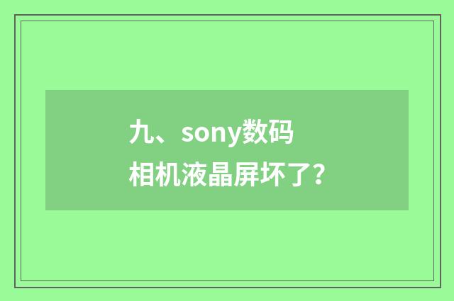 九、sony数码相机液晶屏坏了？