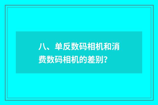 八、单反数码相机和消费数码相机的差别？