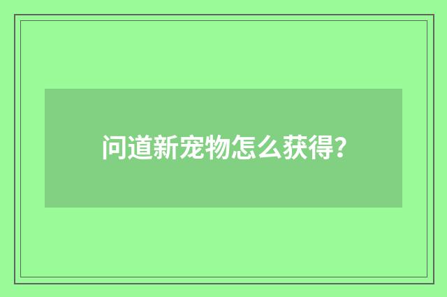问道新宠物怎么获得？